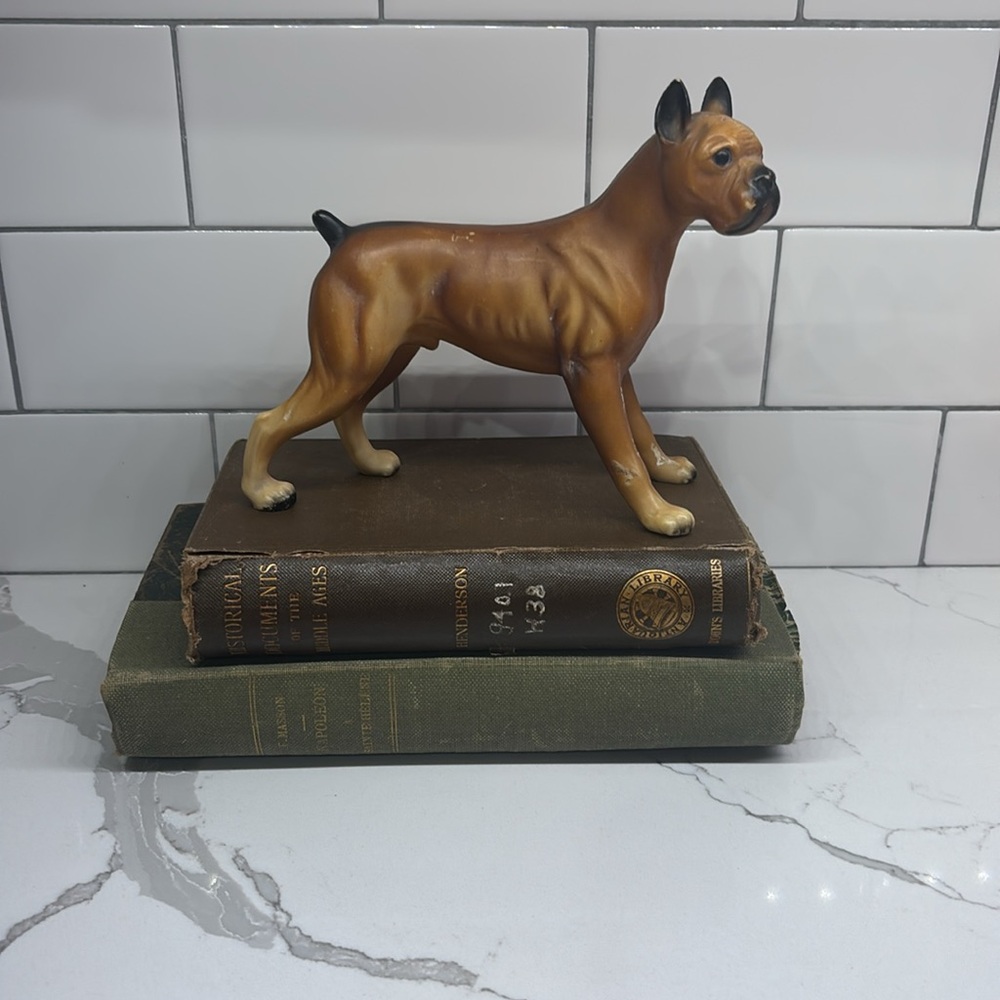 Vintage Boxer Dog Hollow Plastic Made In Hong Kong As Is